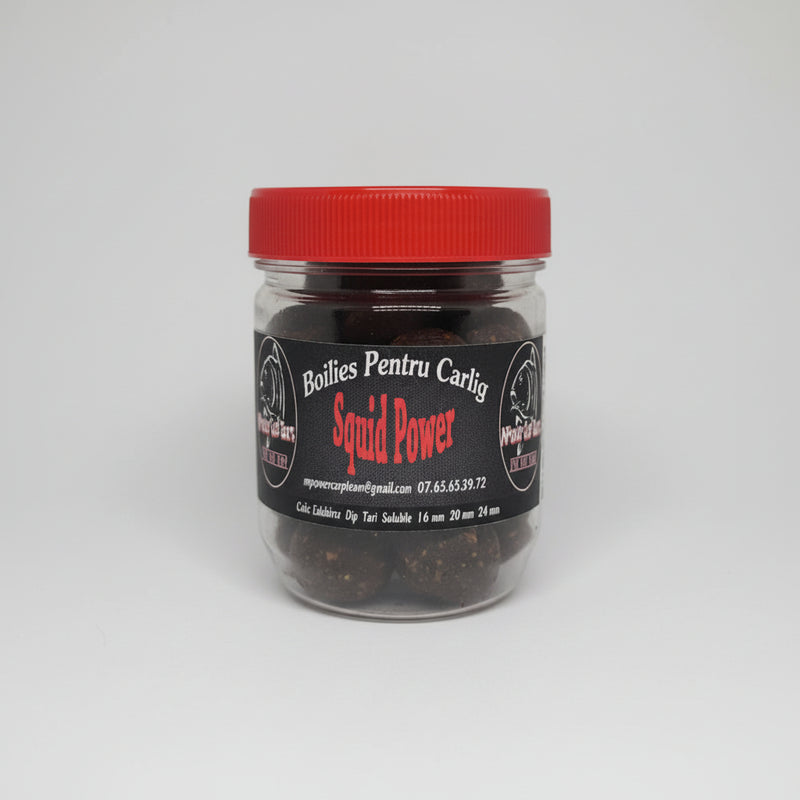 Puterea Calamarului